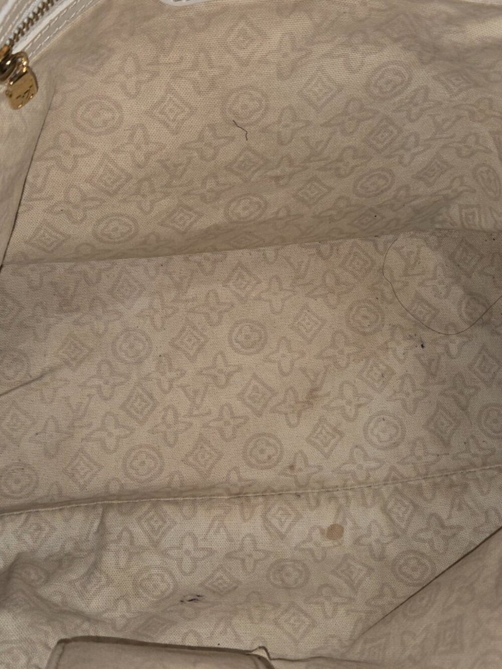 Louis Vuitton Tahitienne Cabas PM - Picture 11 of 15